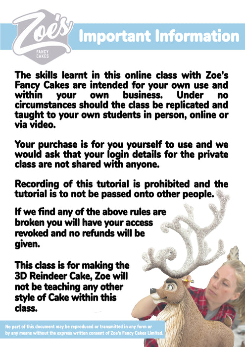 Online Christmas Reindeer Cake Class