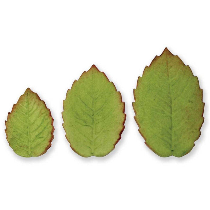 PME -Foliage Plunger Cutters - Large Veined Rose Leaf set of 3